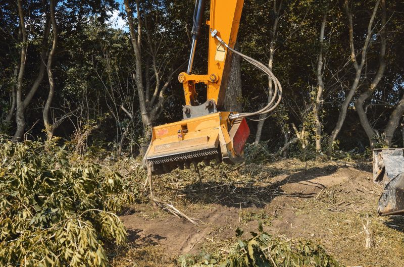 brush and land clearing services