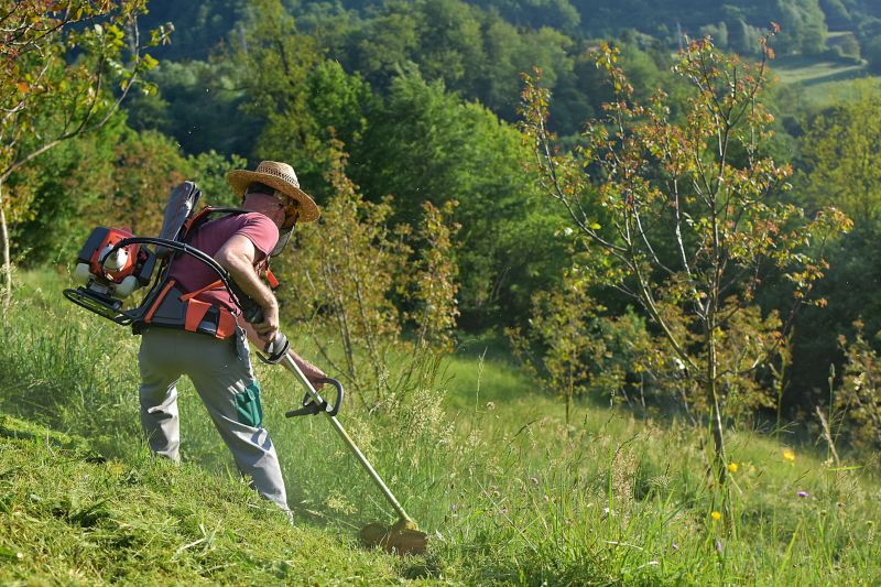 brush and land clearing services