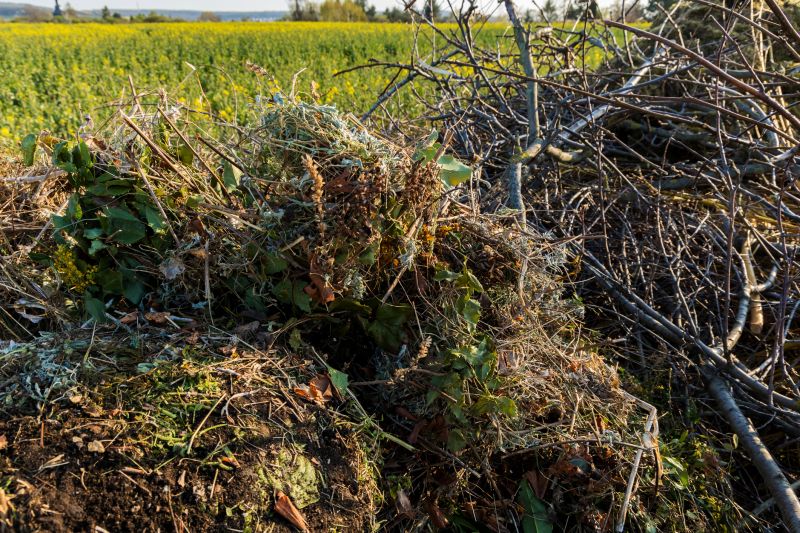 Brush And Land Clearing Services