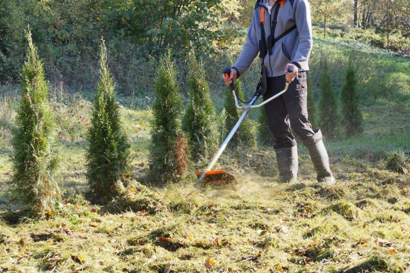 Brush And Land Clearing Services