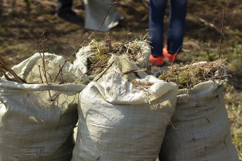 Brush And Land Clearing Services