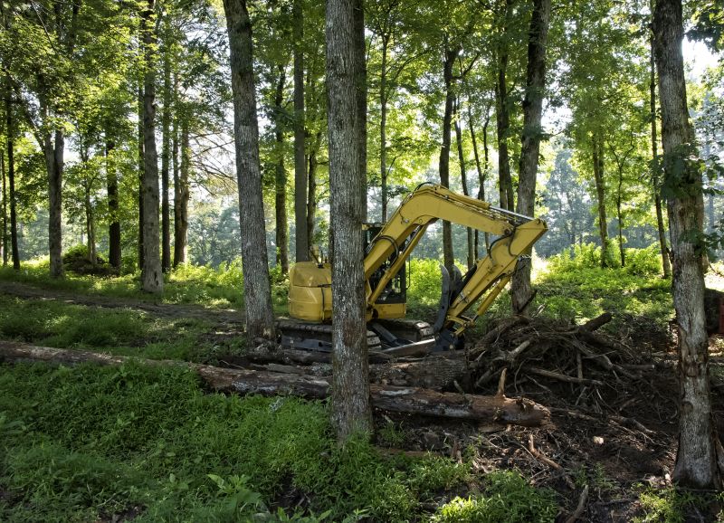 Brush And Land Clearing Services