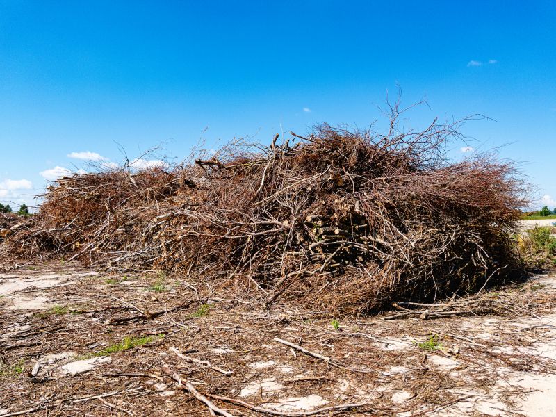 Debris Disposal Process
