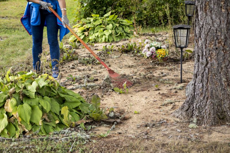 Products For Brush And Land Clearing Service in use