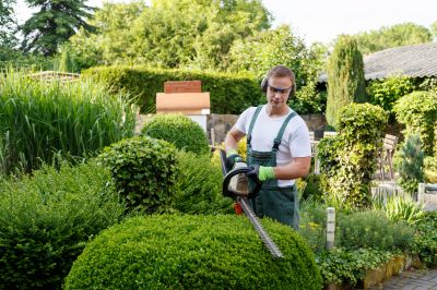 Local Landscaping Firms